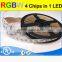 New Product 24v Rgbw Led Strip