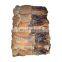 Frozen indian ocean dried squid for export