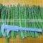 Sinocharm frozen vegetable ISO BRC  IQF Frozen Green Asparagus Spears L:15cm  Asparagus Whole