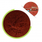 Free Sample CAS 13422-55-4 Organic Vitamin b12  Powder Vb12 0.5% In Stock