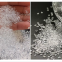 PC Germany Covestro 2658 food grade medium viscosity water-resistant biocompatibility PC raw material PC 2658
