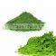 High Quality Moringa Powder Bulk Producers