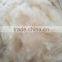 thermal materials filling quilts kapok fiber warm