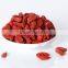 chinese wolf berry/goji