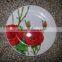hot! ceramic decorate dinner plate with custom design for gifts