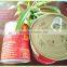 Wholesale Canned tomato paste from china