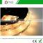 High Quality Cool White LED Ribbon in 5050 36W 5 meter
