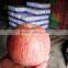 Matured apple fruits Variety and fresh fruits Type mature whole qinguan apples