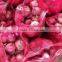 Chinese Fresh Red Round Onions 7-9CM 9-11CM for Sale