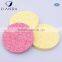 ISO Kitchen Sponge Made From Natural Vegetable