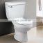 foor mounted and wall mounted both available washing down one piece toilet