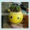 small ceramic cartoon face flower pot with face design planter bosai pot