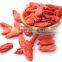 Super Dried Goji berries, Wolfberry Gouqi Berry Herbal Tea China the pure goji berry 350 pcs/50g