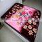 hot sale custom 100% soft blanket spain