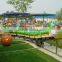 amusement park gliding Caterpillar amusement rides for sale