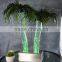 Tropical Palm tree, for table top decoration.