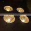 3-Year Warranty 4 Eye 4*100W Warm/Cool White 2IN1 COB LED Audience Blinder Stage Light