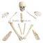 2016 CHEAPER 12PCS BAG OF BONES FOR HALLOWEEN DECORATION