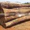 Merbau Wood
