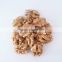 specification walnut kernel and walnut kernel supplier