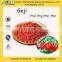 Super Quality Import Goji Berries From GMP Supplier