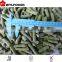 wholesales frozen green bean cut variety HEIHU 2015 crop