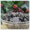 Dried China Black Fungus Mushroom for Sale