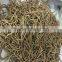 Boiled Osmunda Cinnamomea in Vinegar Cut High Quality of Osmunda