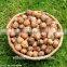 Shanxi Fenyang Mayifang Thin Skin Walnuts in Shell,crushed Walnut Shells,black Walnut Shells,