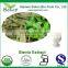 Natural china stevia leaf extract ISO