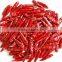 Best price for Tamilnadu Red Chilli