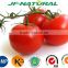 tomato puree fruit powder ISO, GMP, HACCP, KOSHER, HALAL certificated.