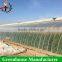 Strong structure Galvanized polytunnel greenhouse