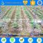 TS irrigation build types of irrigation system for corn irrigation, sugarcane irrigation
