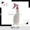 2016 plastic 500 ml liquid detergent bottle, cleaner spray bottle 500ML