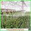 Polycarbonate board aluminium garden greenhouses from factory supplier