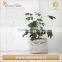 Flower Grow Pots Garden Bag Planter Indoor Kraft Paper Grow Bags