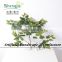 Decorative Flowers & Wreaths Type and Private home,office,hotel,restaurant,public places Occasion artificial ficus leaves