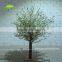 GNW BLS1507020 Cheap white mini artificial cherry blossom for decoration