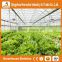 Heracles Trade Assurance multi-span greenhouse for sale