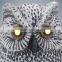 Outdoor Scare White PIR Bird Repeller