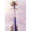 Telecom Tower Beautification