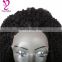 8-26inch afro kinky curly full lace wigs front Lace Human Hair Wigs Kinky Curly human hair wigs for black women