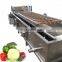 High Pressure Automatic Leafy vegetable Air bubble Washing Machine Line low price