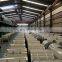 s350 galvanized steel strips coils
