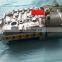 Diesel Engine Parts Fuel Injection Pump 3967658 For Sale