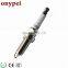 Electrode Spark Plug Ceramic Igniter Spark Igniter Iridium Spark Plugs Sc20hr11