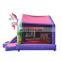 Princess Inflatable Unicorn Castle Jumping Bouncer and Slide Small Bounce House For Kids Play