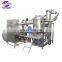 Automatic French Fries vacuum fryer machine process