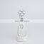 Face Lifting Machine Home Use RF EMS Beauty Device For Personal Skin Care